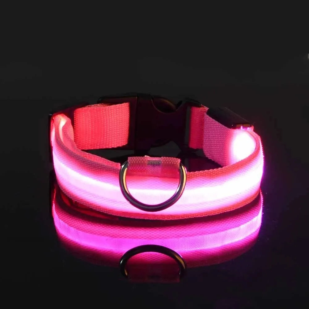 Safety Flashing Glow In The Dark Dog Leash Dogs