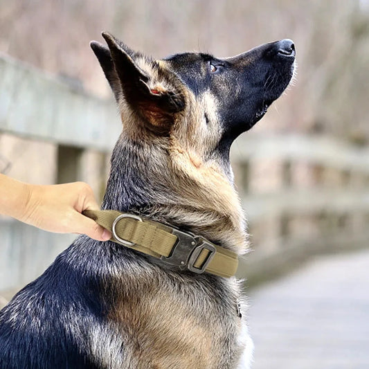 Durable Tactical Nylon Dog Collar – Adjustable for Medium & Large Dogs