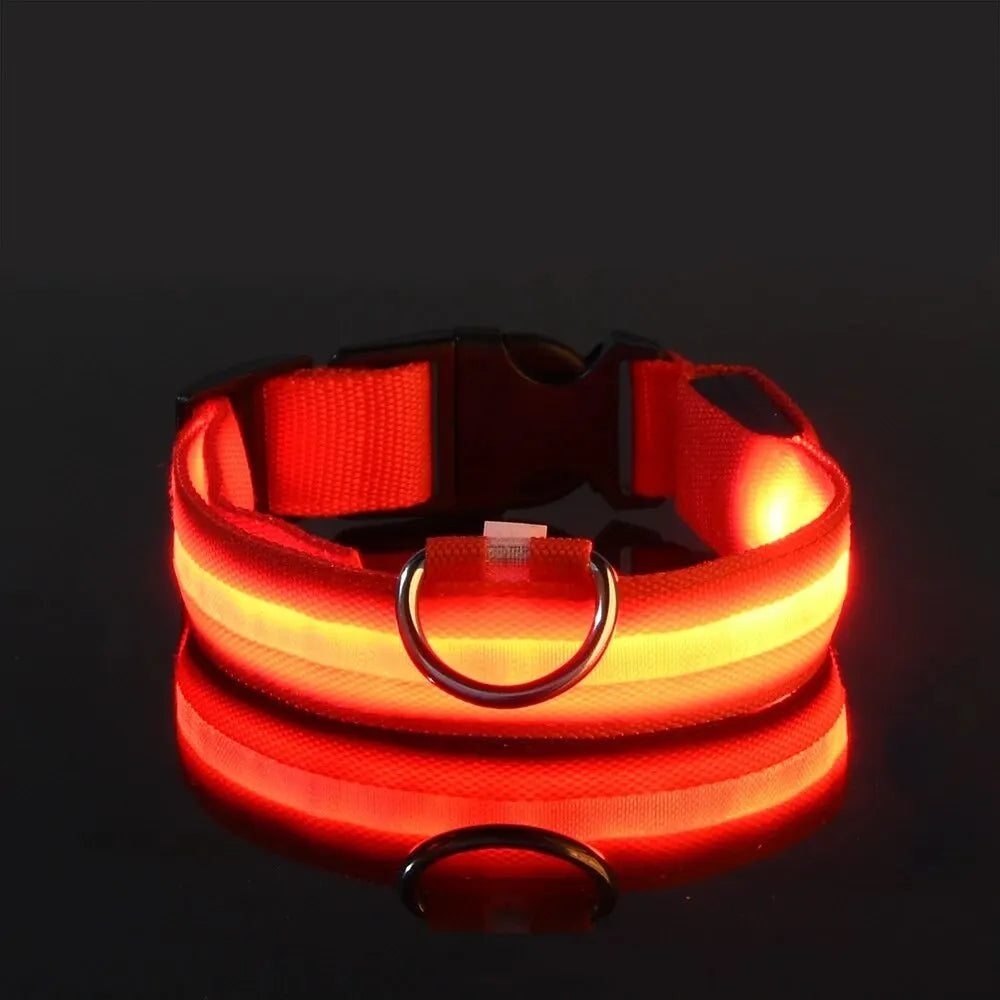 Safety Flashing Glow In The Dark Dog Leash Dogs