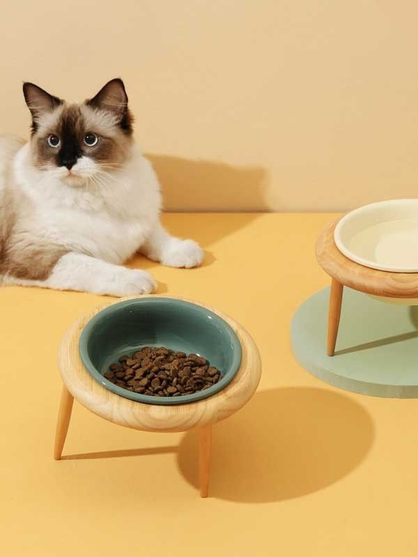 Pet Feeding & Watering