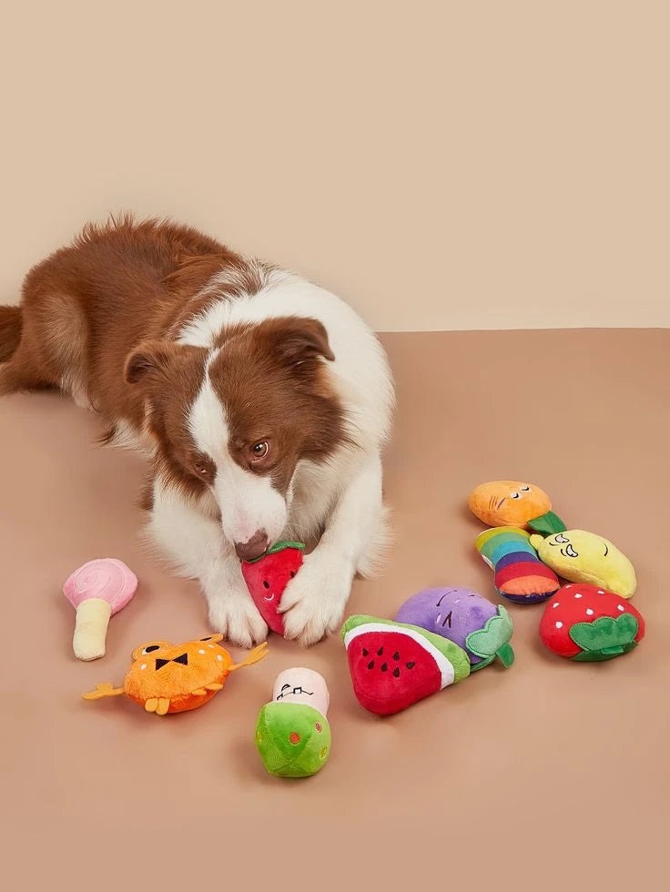 Pet Toys