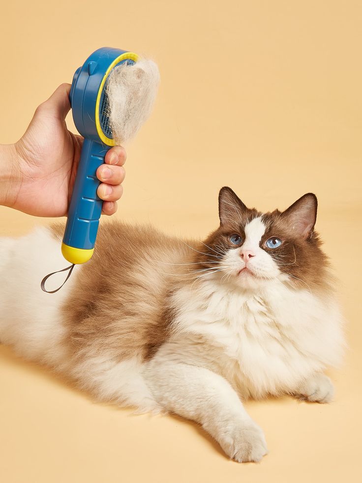 Pet Grooming & Hygiene