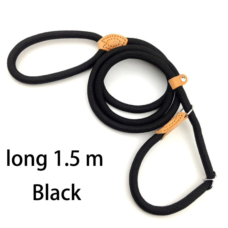 Adjustable Nylon Dog Collar Harness with Leash – Durable, Lightweight Pet Lead
