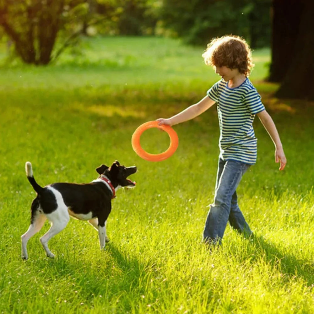 Interactive Dog Ring Toy – Throwing, Flying & Pulling Fun
