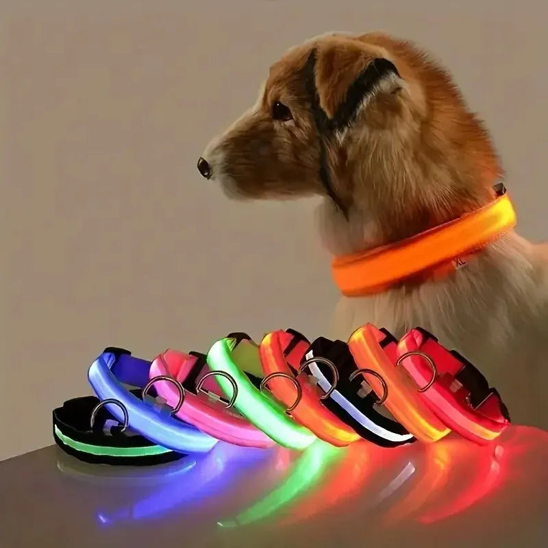 Safety Flashing Glow In The Dark Dog Leash Dogs