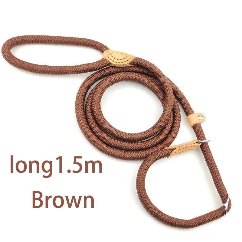 Adjustable Nylon Dog Collar Harness with Leash – Durable, Lightweight Pet Lead