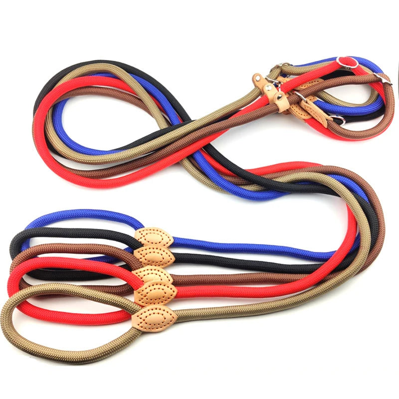Adjustable Nylon Dog Collar Harness with Leash – Durable, Lightweight Pet Lead