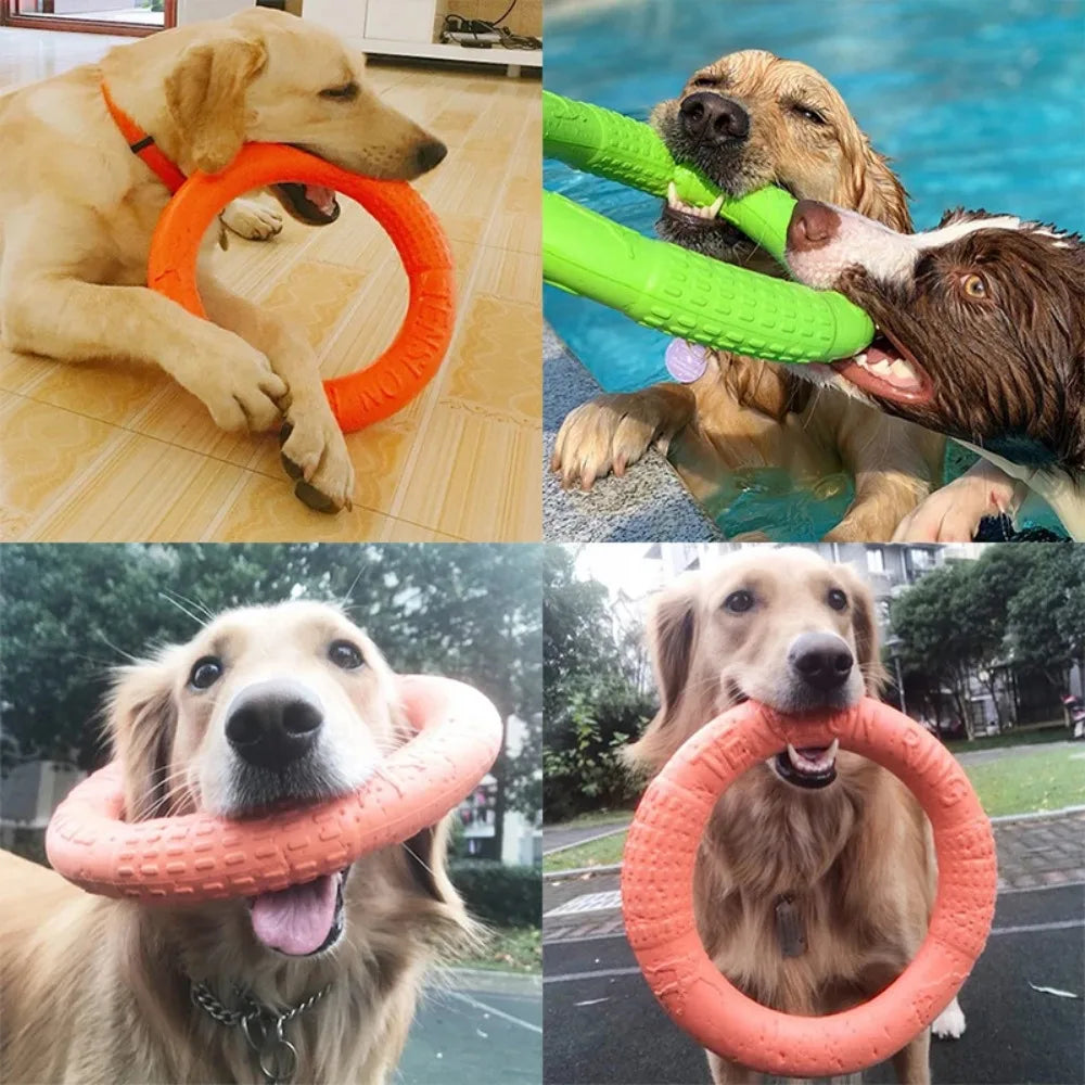 Interactive Dog Ring Toy – Throwing, Flying & Pulling Fun