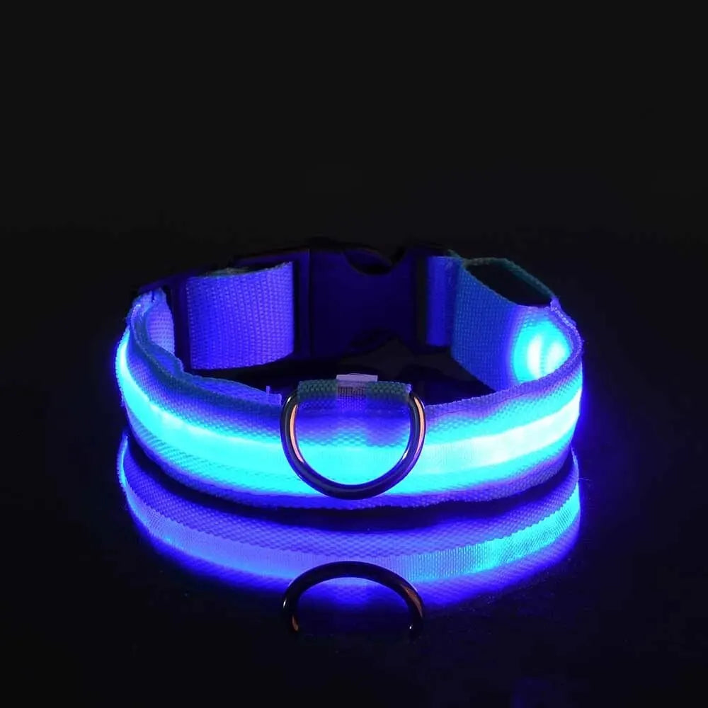 Safety Flashing Glow In The Dark Dog Leash Dogs