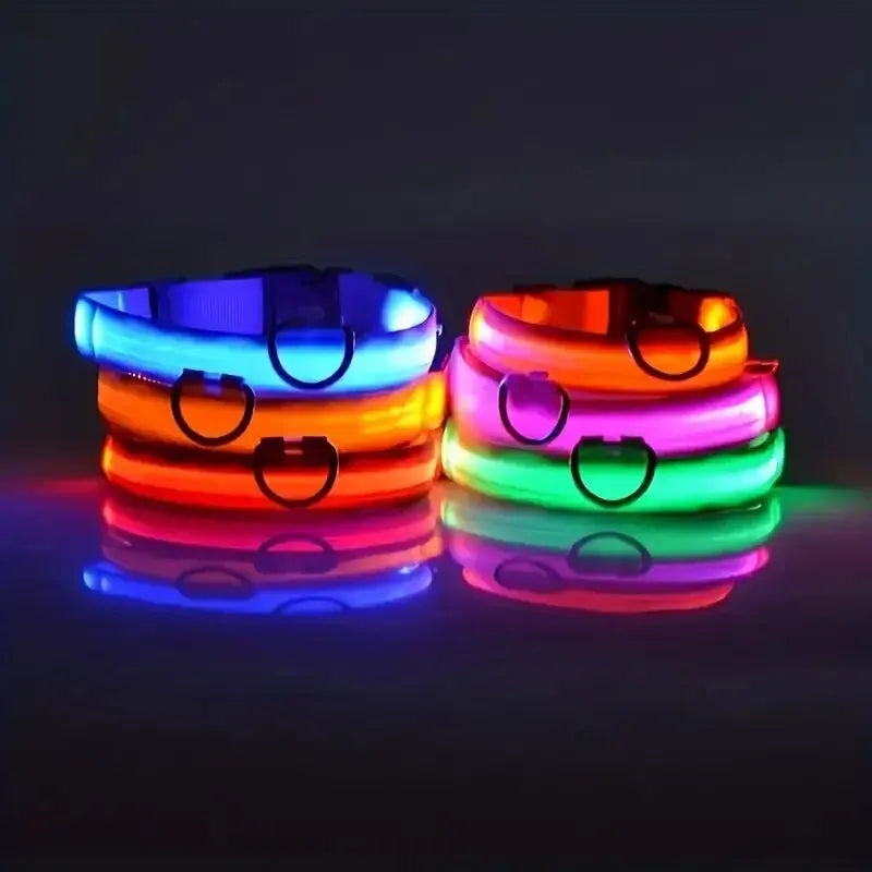 Safety Flashing Glow In The Dark Dog Leash Dogs