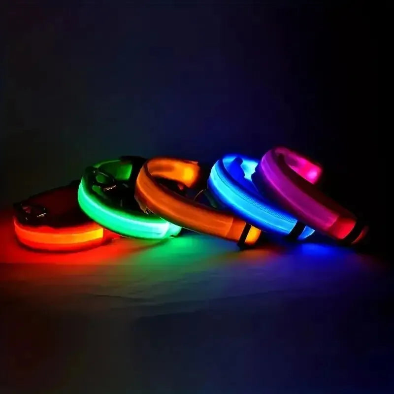 Safety Flashing Glow In The Dark Dog Leash Dogs