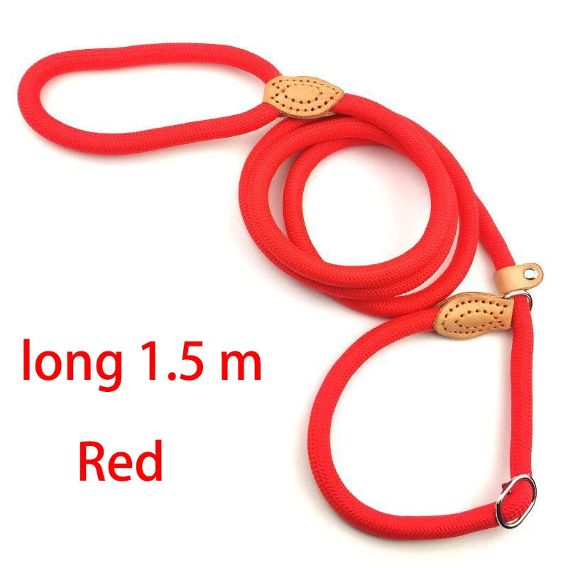Adjustable Nylon Dog Collar Harness with Leash – Durable, Lightweight Pet Lead