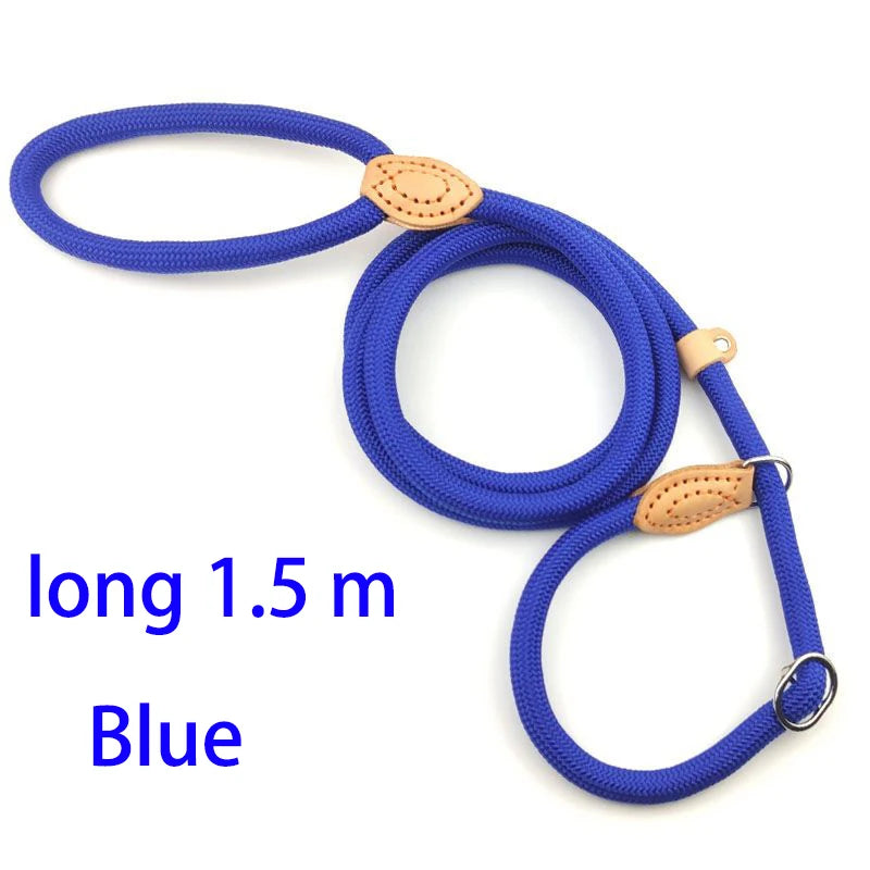 Adjustable Nylon Dog Collar Harness with Leash – Durable, Lightweight Pet Lead