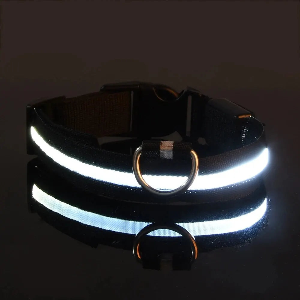 Safety Flashing Glow In The Dark Dog Leash Dogs