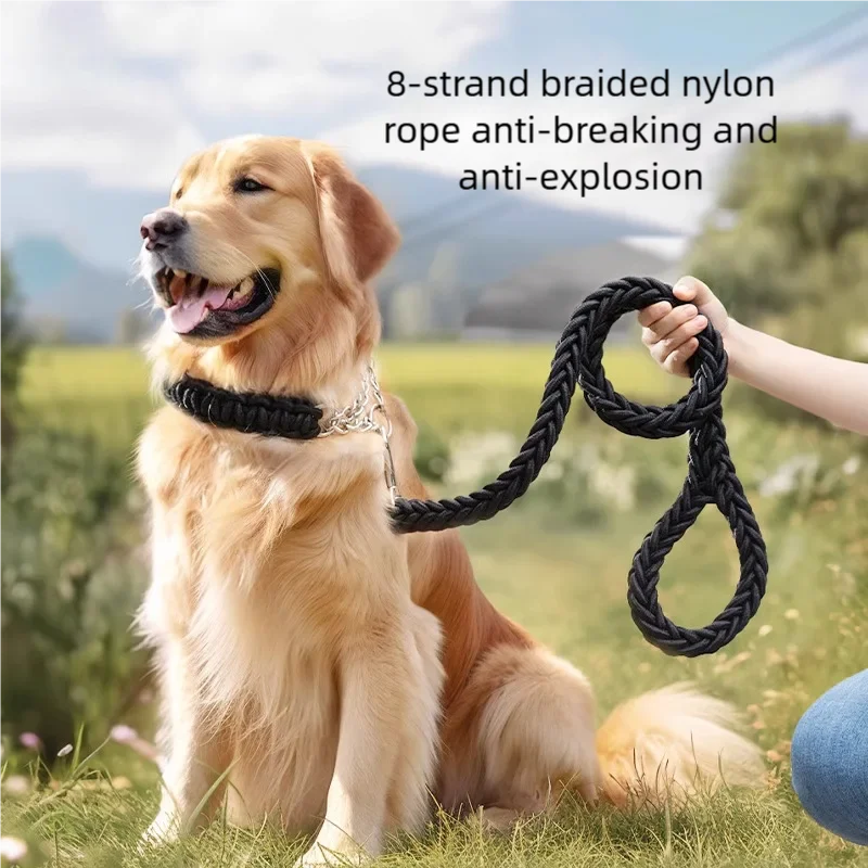 Durable Nylon Dog Leash – Comfortable & Reliable for All Dogs