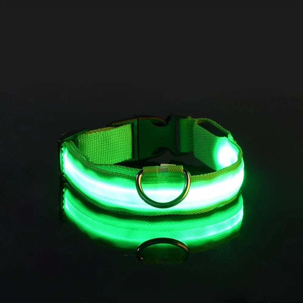 Safety Flashing Glow In The Dark Dog Leash Dogs