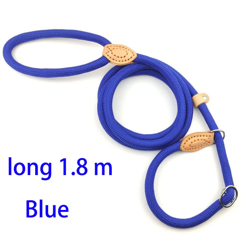 Adjustable Nylon Dog Collar Harness with Leash – Durable, Lightweight Pet Lead