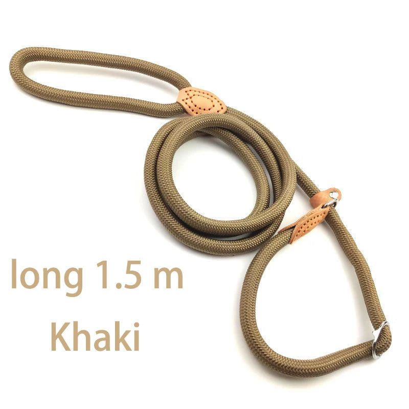 Adjustable Nylon Dog Collar Harness with Leash – Durable, Lightweight Pet Lead