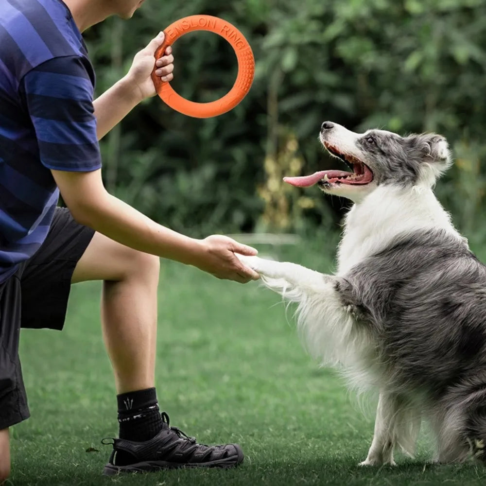 Interactive Dog Ring Toy – Throwing, Flying & Pulling Fun