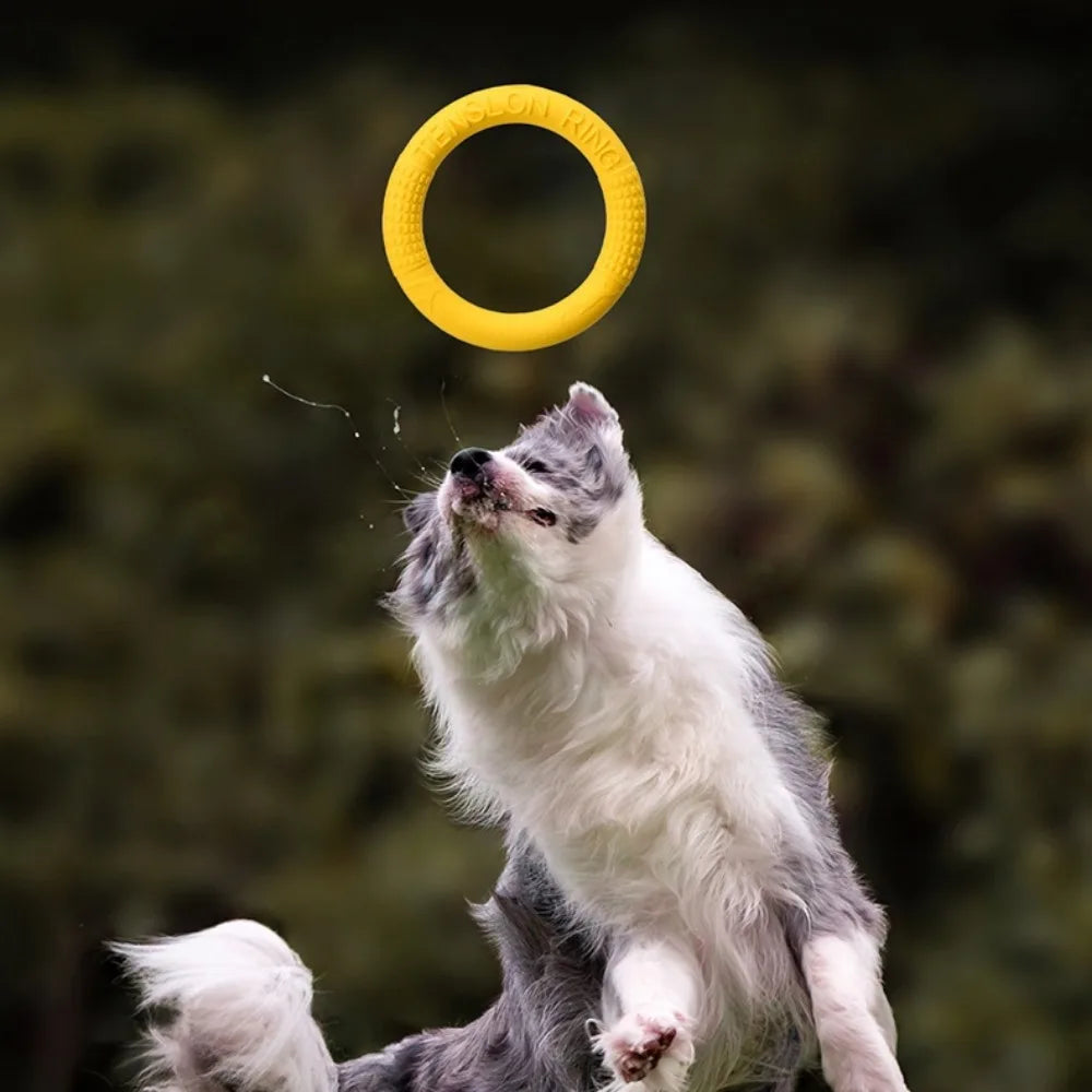 Interactive Dog Ring Toy – Throwing, Flying & Pulling Fun