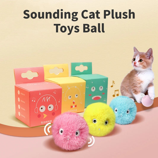 Interactive Catnip Ball Toy – Fun & Training for Cats and Kittens