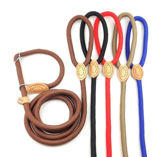 Adjustable Nylon Dog Collar Harness with Leash – Durable, Lightweight Pet Lead