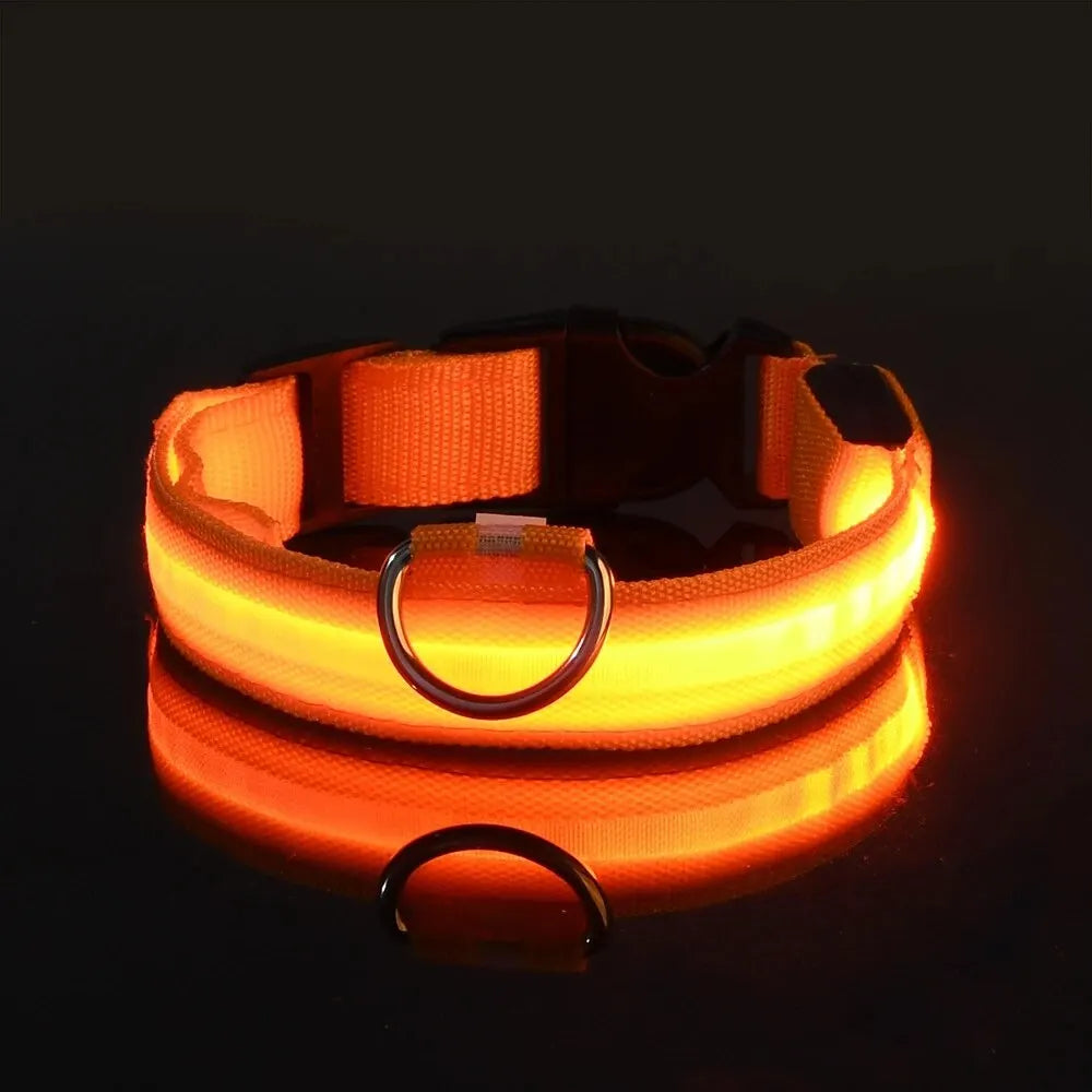 Safety Flashing Glow In The Dark Dog Leash Dogs