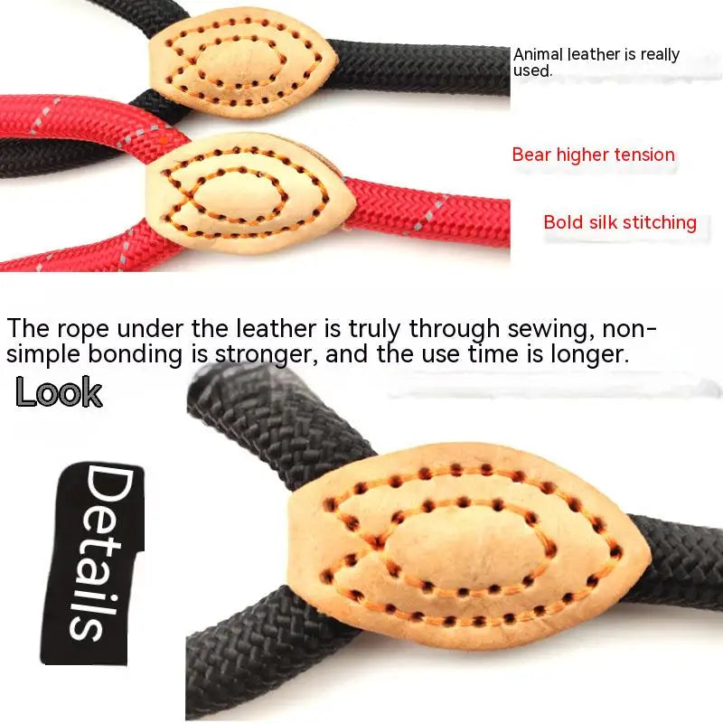 Adjustable Nylon Dog Collar Harness with Leash – Durable, Lightweight Pet Lead