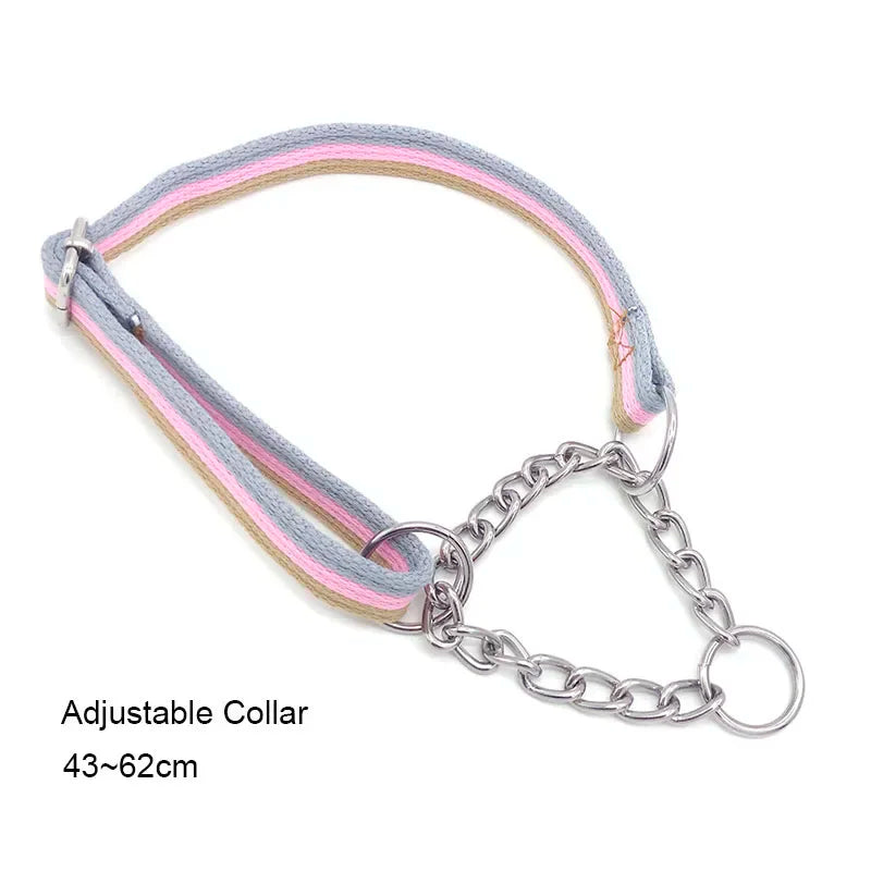 Durable Nylon Dog Collar for Medium & Large Dogs – Pet Supplies