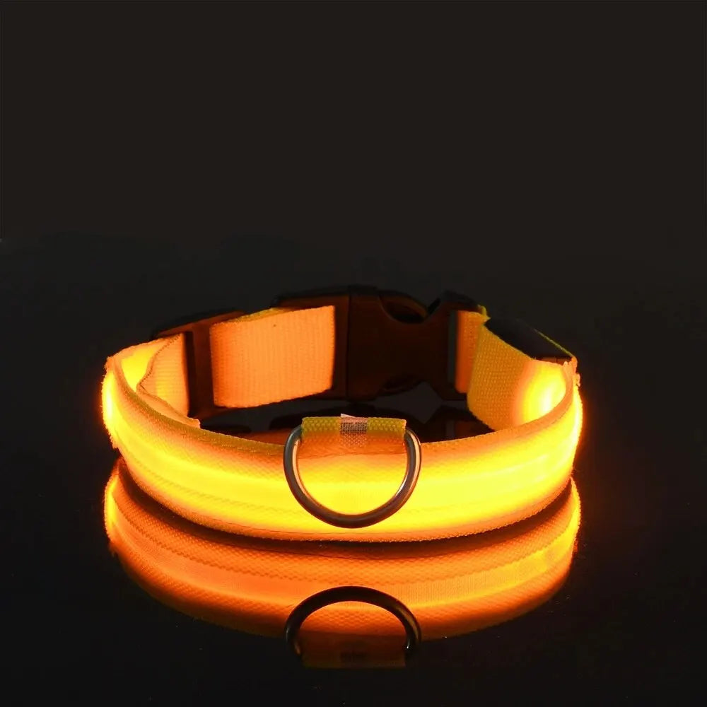 Safety Flashing Glow In The Dark Dog Leash Dogs