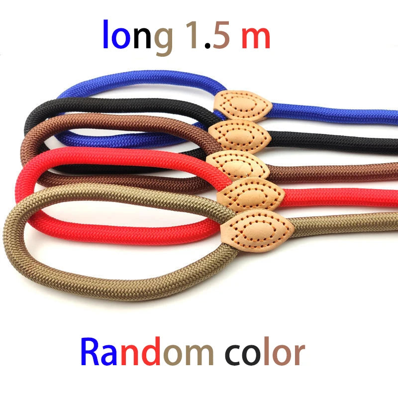 Adjustable Nylon Dog Collar Harness with Leash – Durable, Lightweight Pet Lead