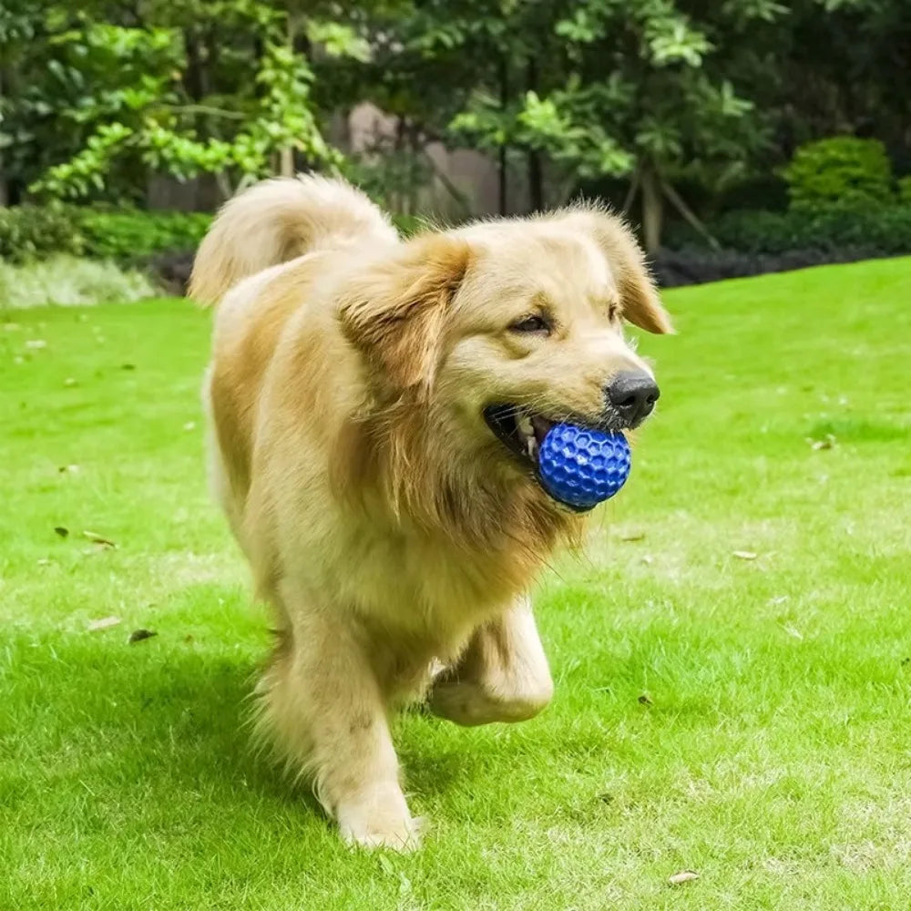 Durable Rubber Dog Toy – Interactive Honeycomb Ball for Teething & Play