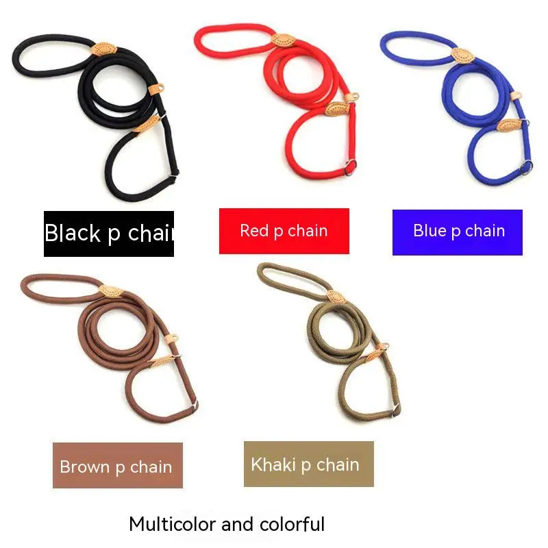 Adjustable Nylon Dog Collar Harness with Leash – Durable, Lightweight Pet Lead